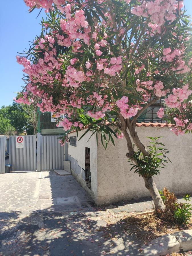 Casa Vacanze פיומיצ'ינו מראה חיצוני תמונה